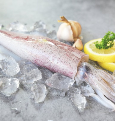 Calamar de Fas Pesca